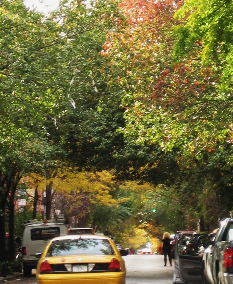 e0196912_942296.jpg