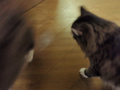 c0145016_2115548.jpg