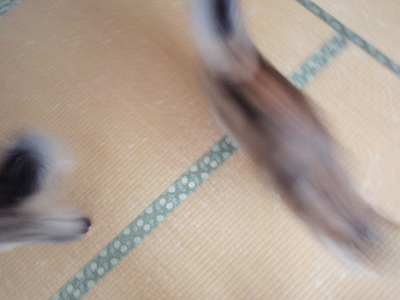 c0145016_21172888.jpg