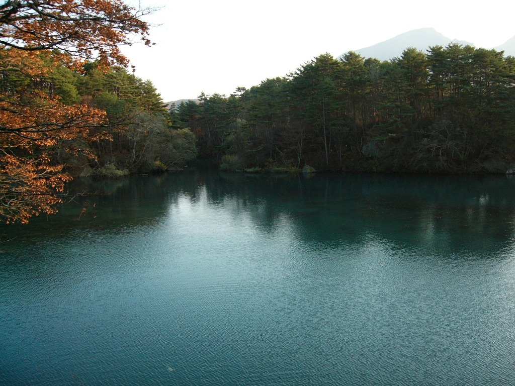 f0023916_18592469.jpg