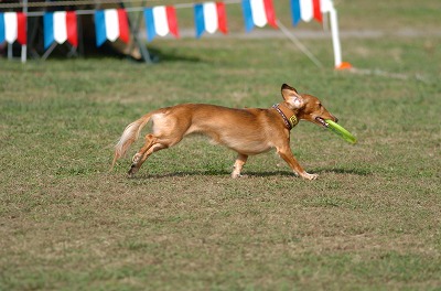 e0121418_22271277.jpg