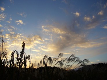 d0024220_2324832.jpg