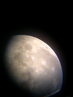 e0091220_119040.jpg