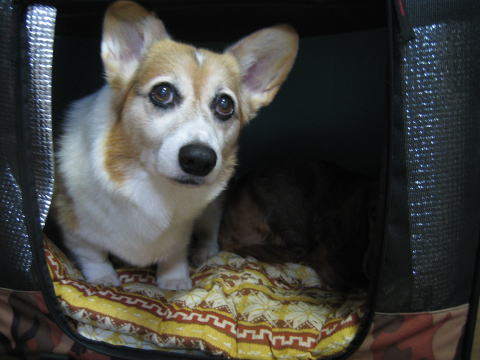 a0037322_22274342.jpg