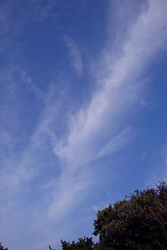 e0153022_20183095.jpg