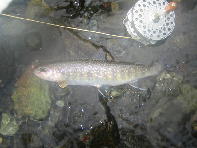 e0063923_223135.jpg