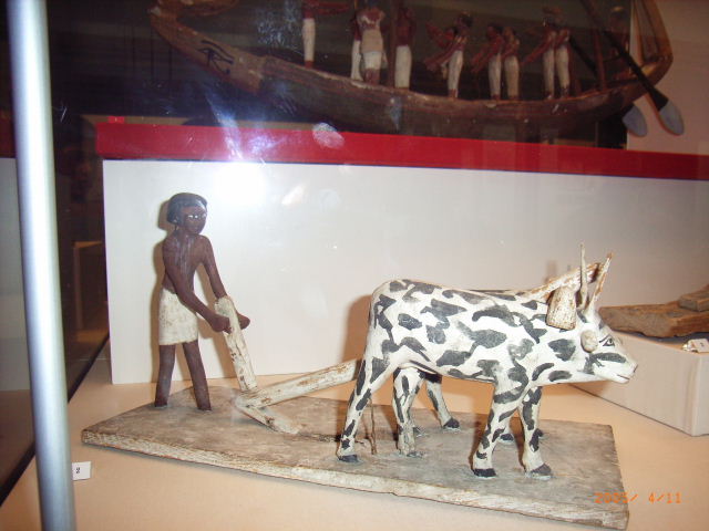 e0177824_1949234.jpg
