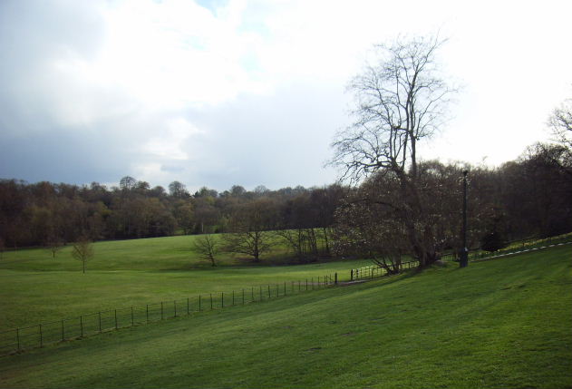 e0177824_20585574.jpg