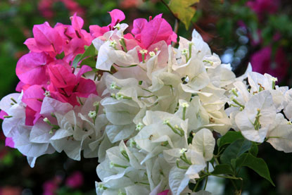 f0137324_17111392.jpg