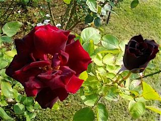 c0199728_23201362.jpg