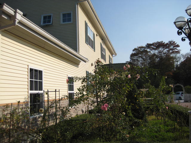 a0053631_202616100.jpg