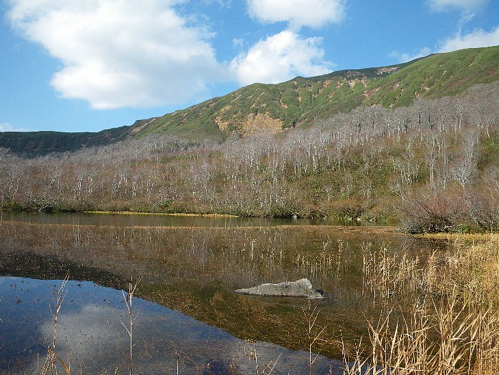 f0118332_0124576.jpg