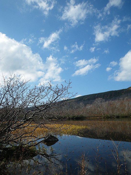 f0118332_0153444.jpg