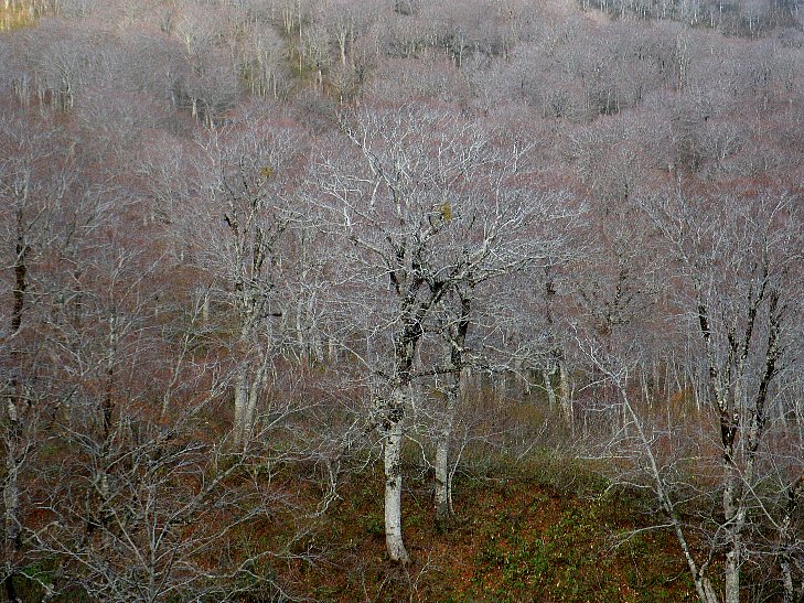 f0118332_0203485.jpg