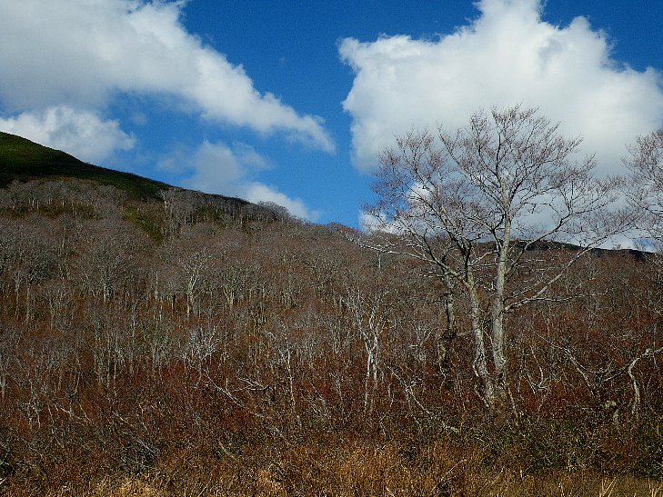 f0118332_021959.jpg