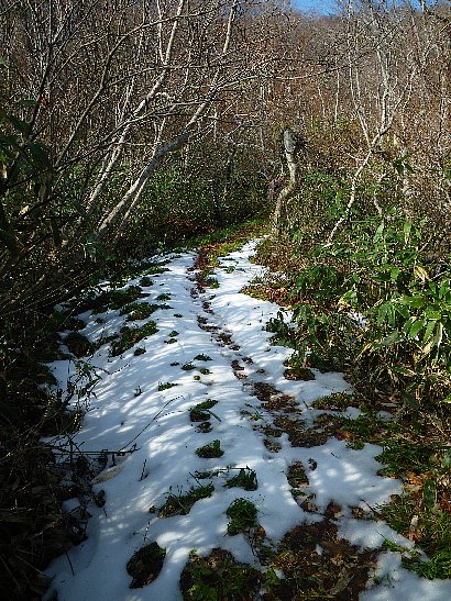 f0118332_06358.jpg