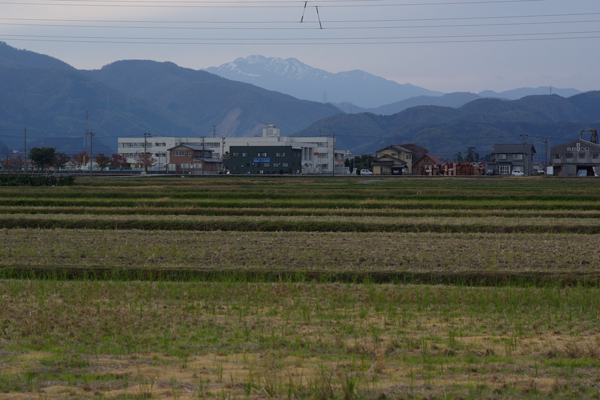 b0177233_783267.jpg