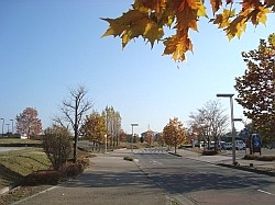 f0039933_9495145.jpg