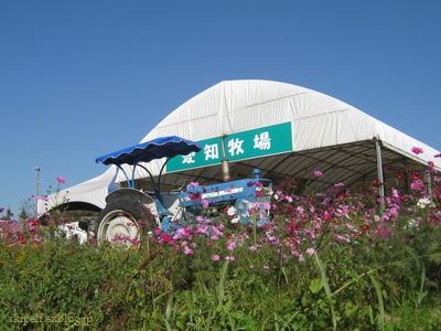 c0134734_21594177.jpg