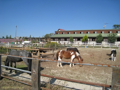 c0134734_2205652.jpg