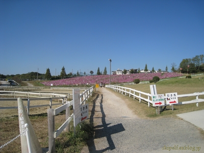 c0134734_2214358.jpg