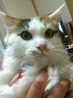 f0008935_13153326.jpg