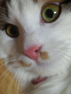 f0008935_131618.jpg