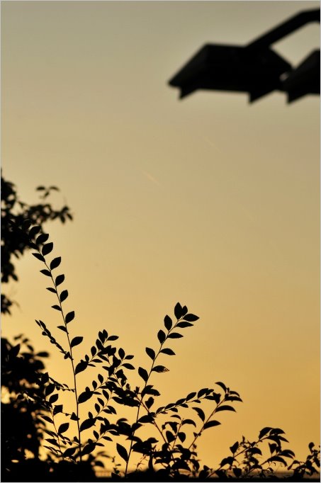 e0011137_20164982.jpg