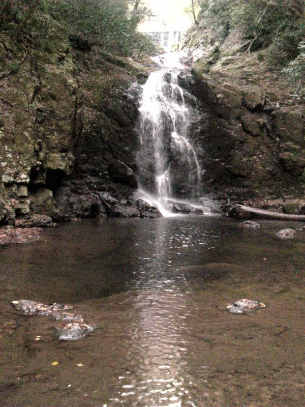 b0057140_2334187.jpg