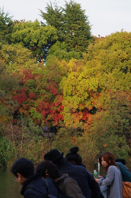 a0009142_1864115.jpg