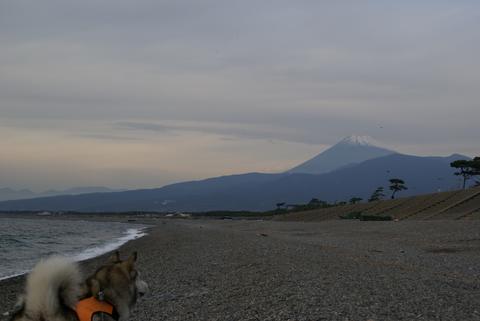 e0143442_10441572.jpg