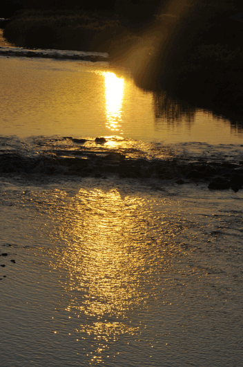 c0093046_13561260.gif
