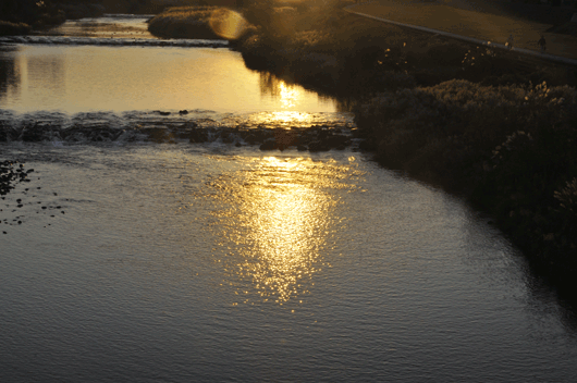 c0093046_13562543.gif