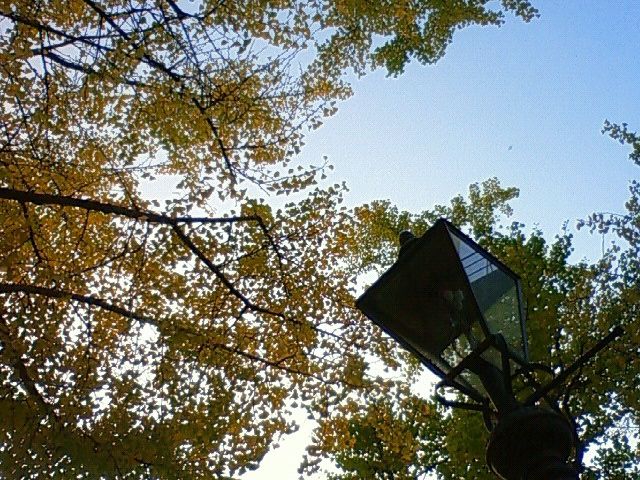 f0179947_2032315.jpg