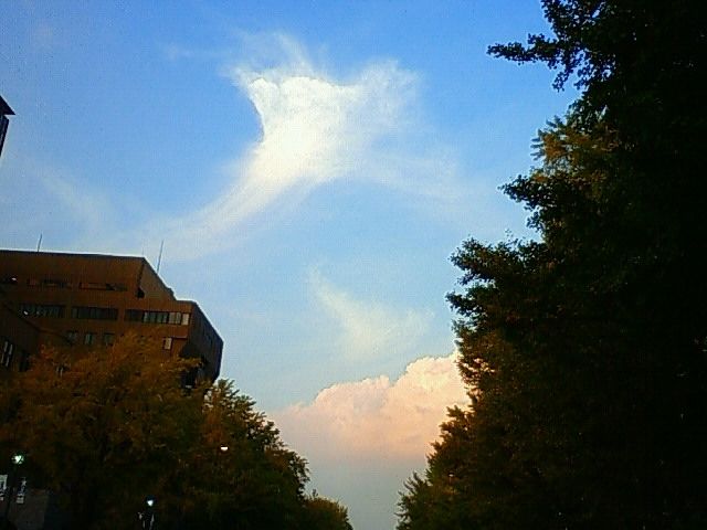 f0179947_2063647.jpg
