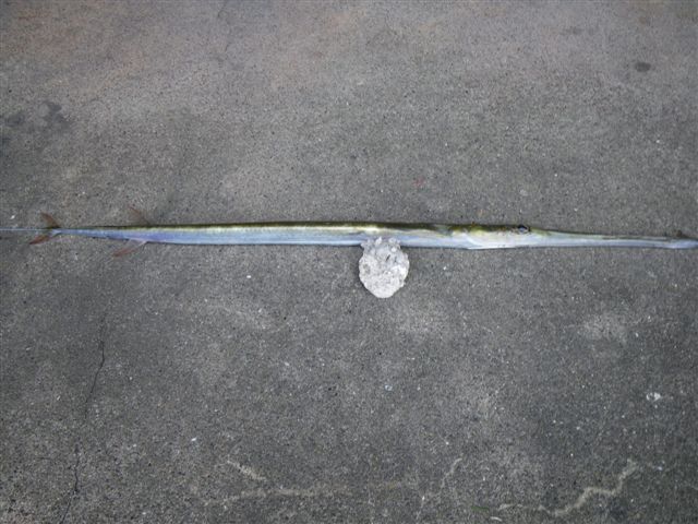 f0046250_17471100.jpg