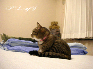 c0176651_23515669.gif