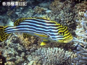f0190653_10102035.jpg