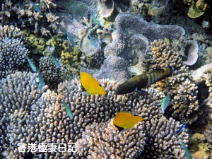 f0190653_1010358.jpg