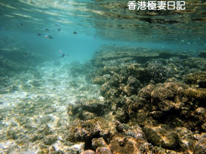 f0190653_1010388.jpg