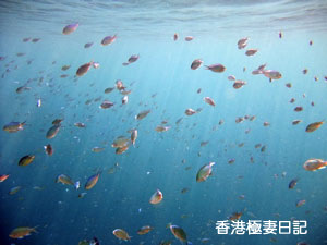 f0190653_10105072.jpg
