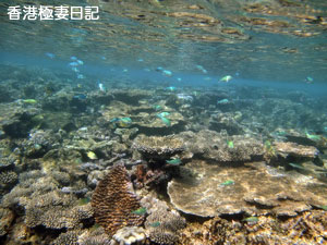 f0190653_1011286.jpg