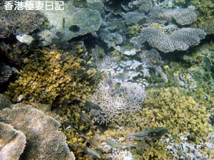 f0190653_1074289.jpg