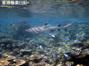 f0190653_1082393.jpg