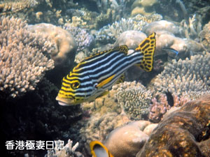 f0190653_1085164.jpg