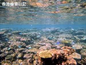 f0190653_108933.jpg