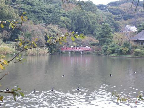 c0039754_2162649.jpg