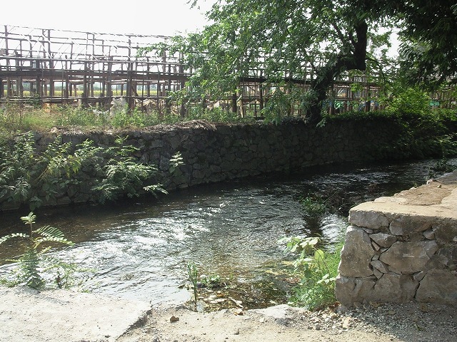 e0037055_2163053.jpg