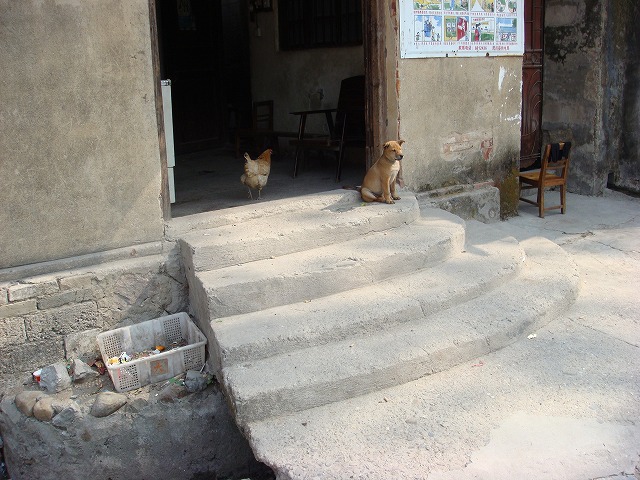 e0037055_2171151.jpg