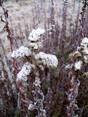 c0097856_23153371.jpg